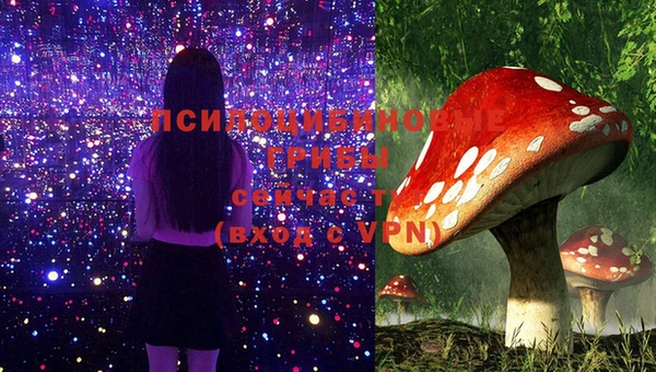 молекула духа Алексеевка
