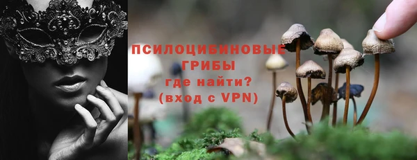 тгк Абинск