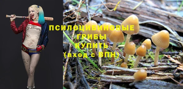 дмт Абдулино