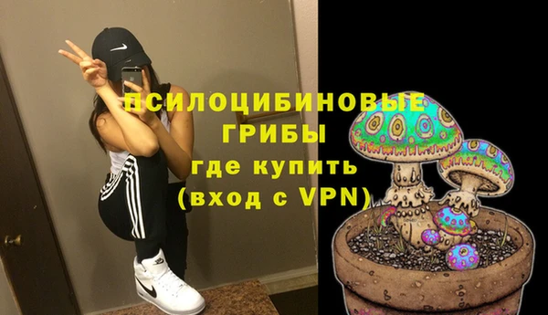 молекула духа Алексеевка