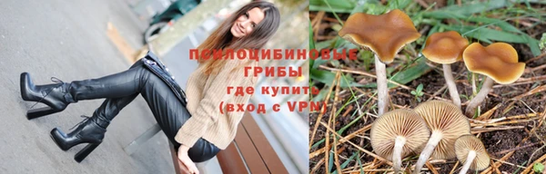 тгк Абинск