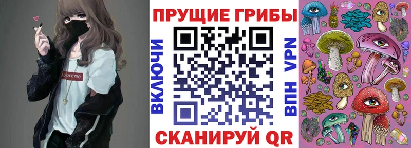 Галлюциногенные грибы Cubensis  Таштагол 